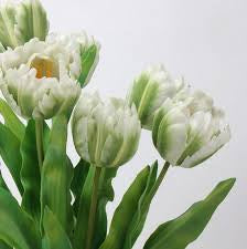 White Parrot tulips | BY 10 STEMS