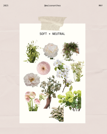 Mother's Day | SOFT + NEUTRAL