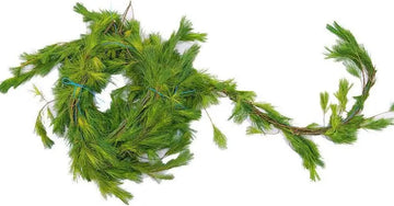 Pine roping garland 25ft