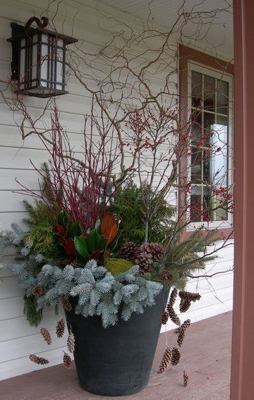 Holiday planters
